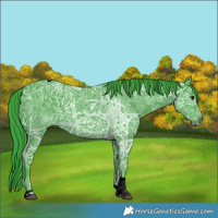 Horse Color:Void Watercolor Black Ice Tobiano 