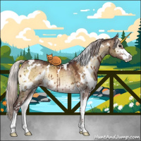 Horse Color:White Spotted Chocolate Silver Brown Onyx Sabino Brindle 