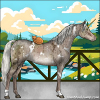 Horse Color:White Spotted Liver Red Dun Ice Mushroom Brindle 