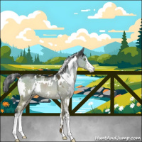 Horse Color:White Spotted Brown Dun Mushroom Sabino 