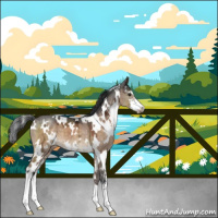 Horse Color:White Spotted Brown Ice Dun Sabino 