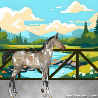 Horse Color:White Spotted Brown Dun Sabino Brindle