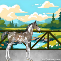 Horse Color:White Spotted Brown Dun Mushroom Sabino Brindle