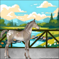Horse Color:White Spotted Liver Red Dun Mushroom Brindle