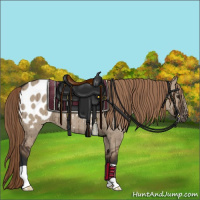 Horse Color:Liver Red Dun Appaloosa Brindle 