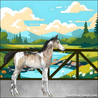 Horse Color:Brown Dun Mushroom Sabino Tobiano Rabicano Brindle 