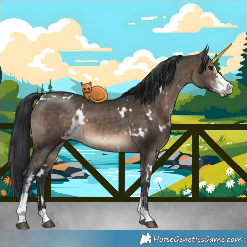 Horse Color:White Spotted Brown Dun Sabino Brindle 