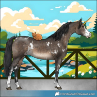 Horse Color:White Spotted Brown Dun Sabino Brindle 