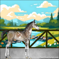 Horse Color:Brown Dun Mushroom Sabino Rabicano Brindle