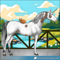 Horse Color:Brown Dun Sabino Brindle 