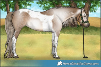 Horse Color:Gray Liver Red Dun Tobiano 