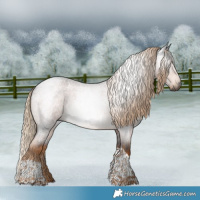 Horse Color:Gray Chocolate Palomino Roan Tobiano 