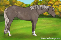 Horse Color:Silver Black 