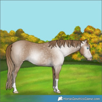 Horse Color:Gray Smoky Creme 
