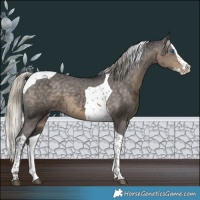Horse Color:Silver Smoky Black Splash Tobiano Varnish 