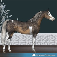 Horse Color:Silver Smoky Black Splash Tobiano 