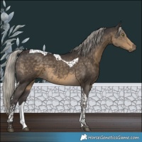 Horse Color:Silver Smoky Black Tobiano 