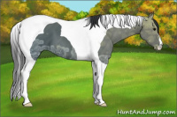 Horse Color:Black Ice Tobiano