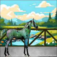 Horse Color:ERROR: UNKNOWN ANOMALY