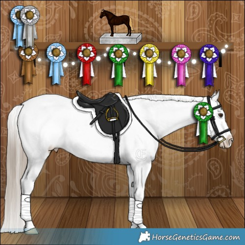 Horse Color:Liver Red Dun Appaloosa Brindle 