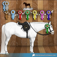 Horse Color:Liver Red Dun Varnish Brindle 