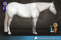 Horse Color:Liver Red Dun Snowcap Brindle 