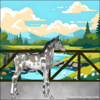 Horse Color:Gray Platinum White Spotted Liver Red Dun Ice Tobiano Brindle 