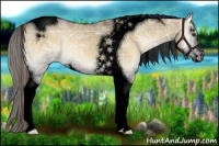 Horse Color:Void Painted Plaid  Chocolate Palomino Ice Onyx Sabino Tobiano 