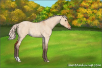 Horse Color:Silver Bay Roan Dun 