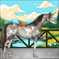 Horse Color:White Spotted Liver Red Dun Ice Sabino Rabicano Brindle