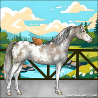 Horse Color:White Spotted Liver Red Dun Ice Mushroom Sabino Brindle 