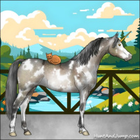 Horse Color:Gray White Spotted Brown Ice Dun Sabino
