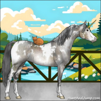 Horse Color:Gray White Spotted Brown Ice Dun Mushroom Sabino Brindle 