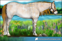 Horse Color:Plaid  White Spotted Liver Red Onyx Roan 