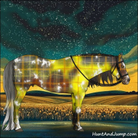 Horse Color:Plaid  White Spotted Liver Chestnut Sabino 