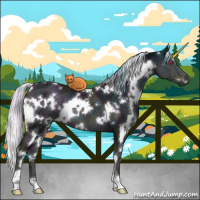 Horse Color:White Spotted Midnight Chocolate Silver Smoky Blue Onyx Chinchilla Ice 