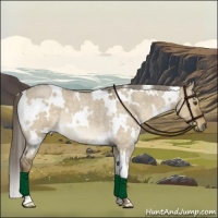 Horse Color:White Spotted Chocolate Palomino Roan Dun Mushroom 
