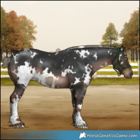 Horse Color:White Spotted Liver Chestnut Mushroom