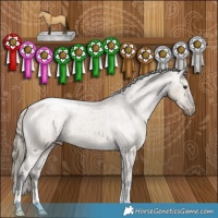 Horse Color:Liver Red Dun Appaloosa Brindle 