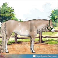 Horse Color:Chocolate Palomino Pearl Sabino Rabicano 