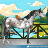 Horse Color:White Spotted Brown Dun Mushroom Rabicano Brindle 