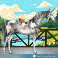 Horse Color:White Spotted Brown Onyx Mushroom Sabino Rabicano 