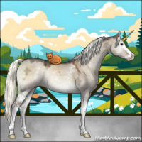 Horse Color:White Spotted Liver Red Dun Ice Onyx Mushroom Sabino Rabicano 