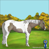 Horse Color:Liver Red Dun Mushroom Tobiano 