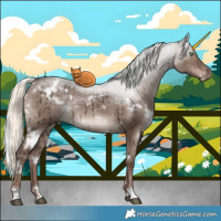 Horse Color:White Spotted Liver Red Dun Mushroom Rabicano Brindle 