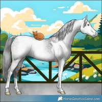 Horse Color:Gray Grullo Ice Mushroom Tobiano Brindle 