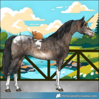 Horse Color:Brown Dun Sabino Tobiano Brindle 
