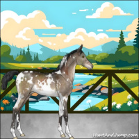 Horse Color:White Spotted Brown Dun Mushroom 