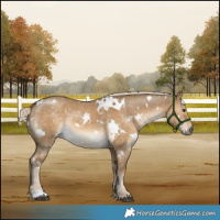 Horse Color:White Spotted Chocolate Palomino Dun 