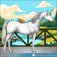 Horse Color:Gray White Spotted Chocolate Palomino Pearl Dun Mushroom Sabino Brindle 